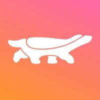 the bitcoin company